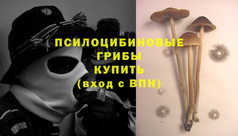 цена наркотик  Советская Гавань  Псилоцибиновые грибы Magic Shrooms 